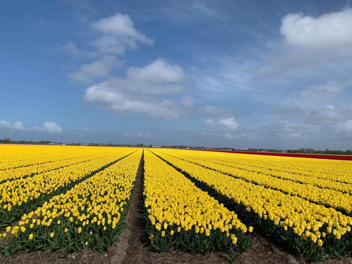 Prachtig Chalet Zonnestraal Westerland Exteriér fotografie
